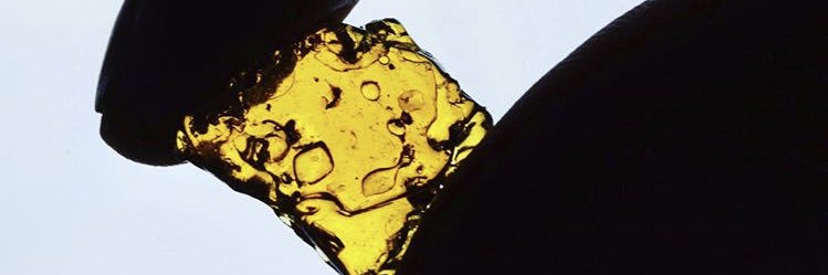 MedPotDelivery's profile banner image