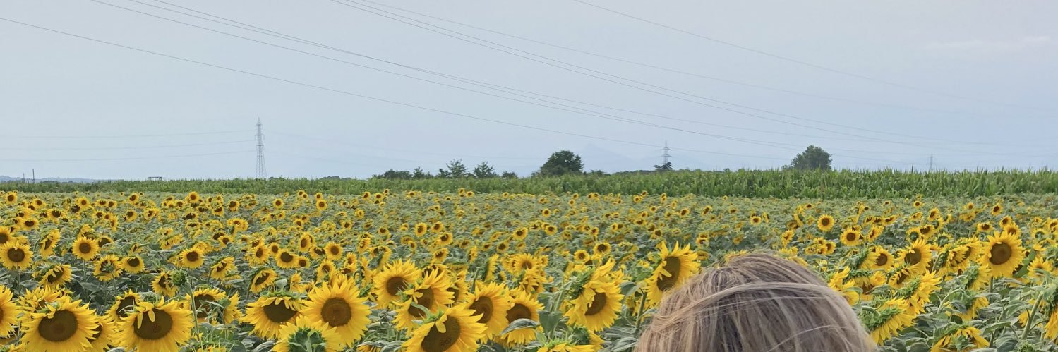 mrdamours's profile banner image
