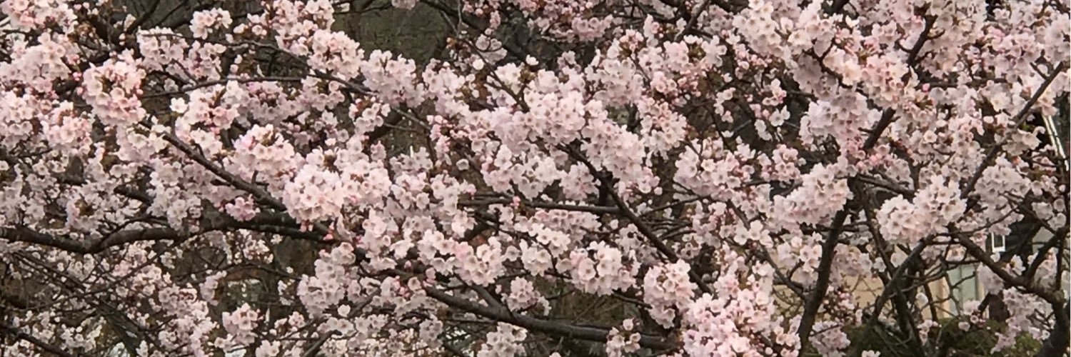 june628's profile banner image