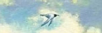 pitdan80's profile banner image
