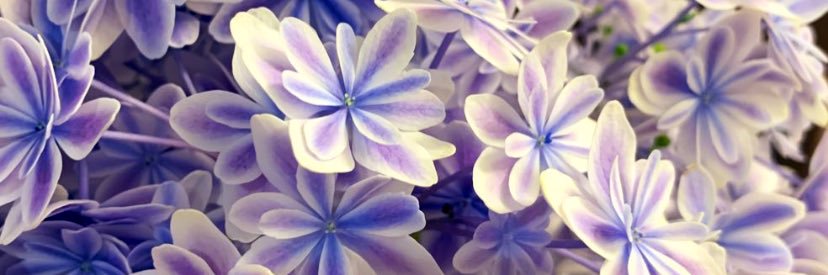 51denK's profile banner image