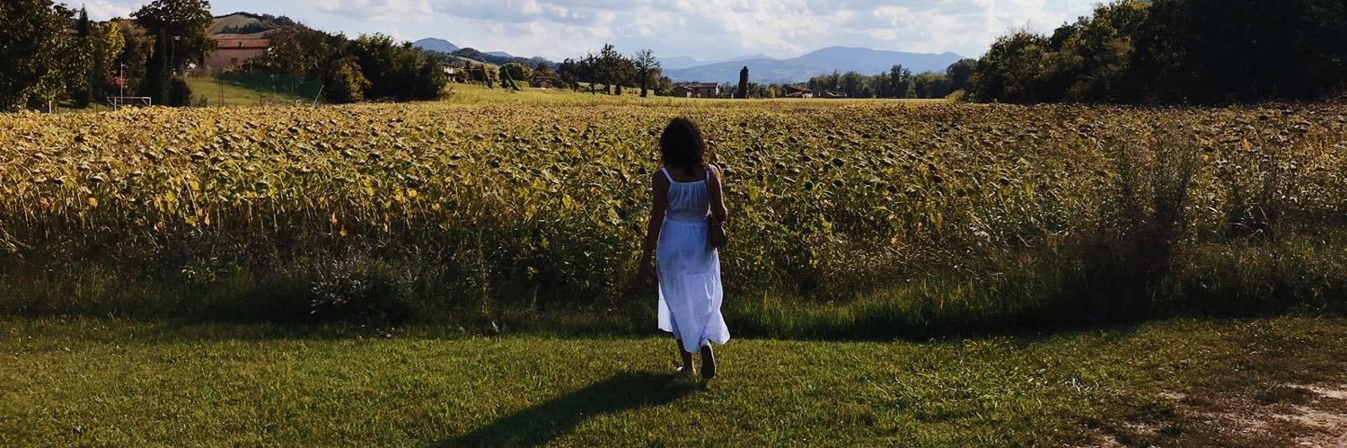danielabordin1's profile banner image
