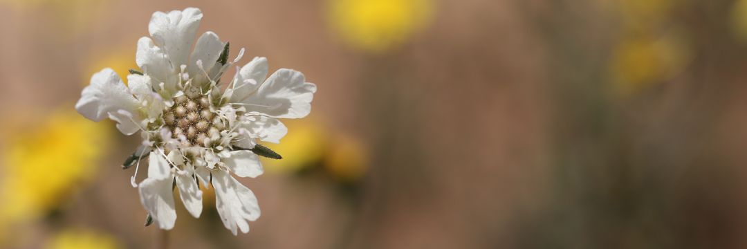 casterd4's profile banner image
