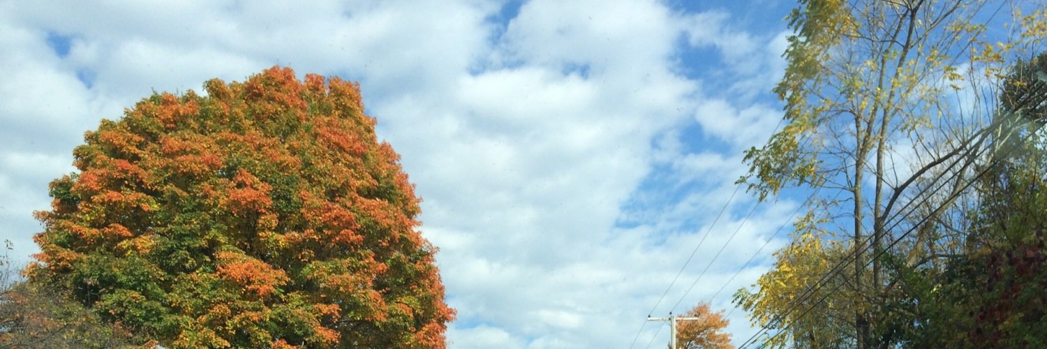 MissMeredithP's profile banner image