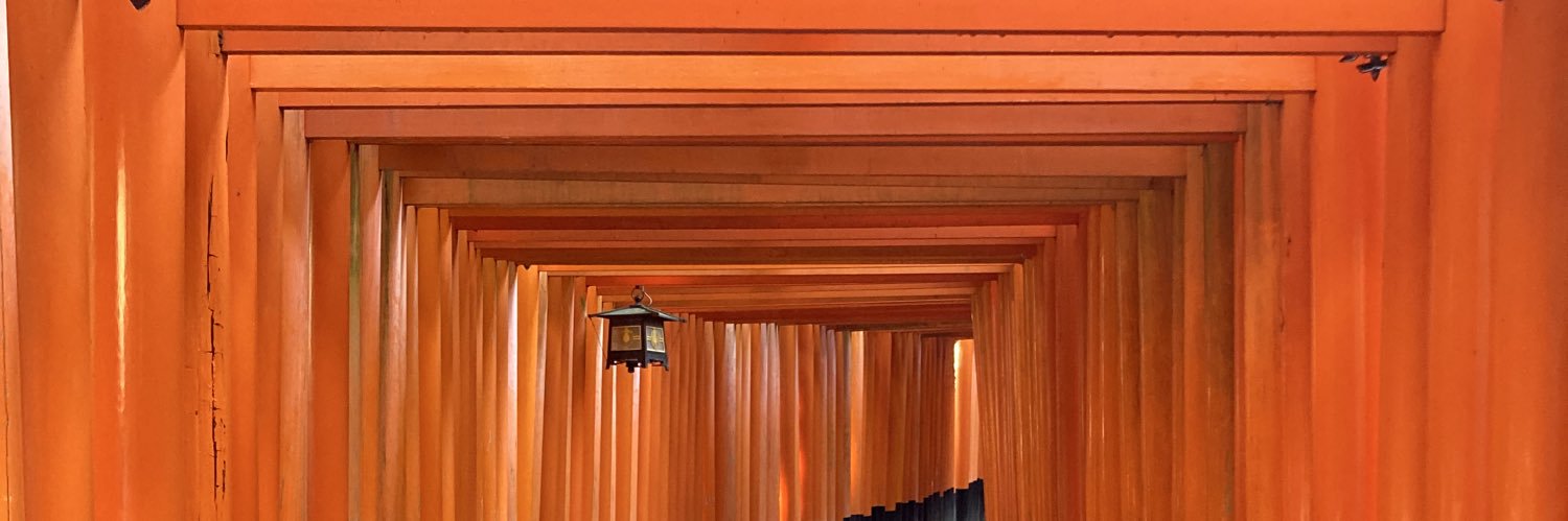 Frank Wester🇳🇱 banner