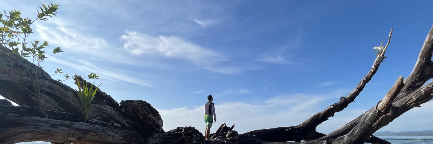 lowbatz's profile banner image