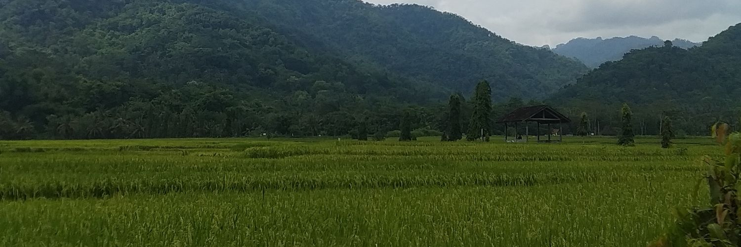 Dedy Hariyadi banner