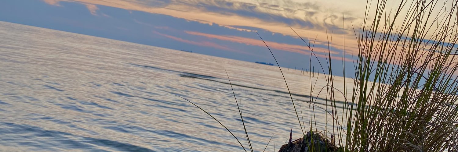 itsamber3's profile banner image