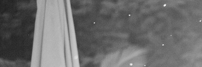 Faten Yammine banner