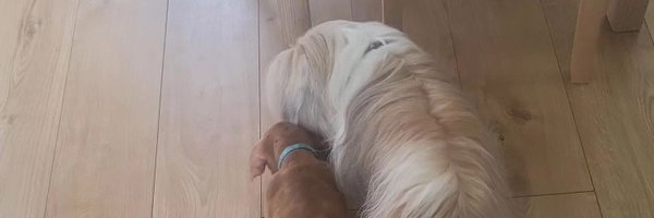 SazJayney Profile Banner