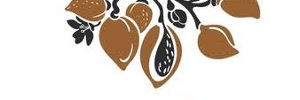 Arump's profile banner image