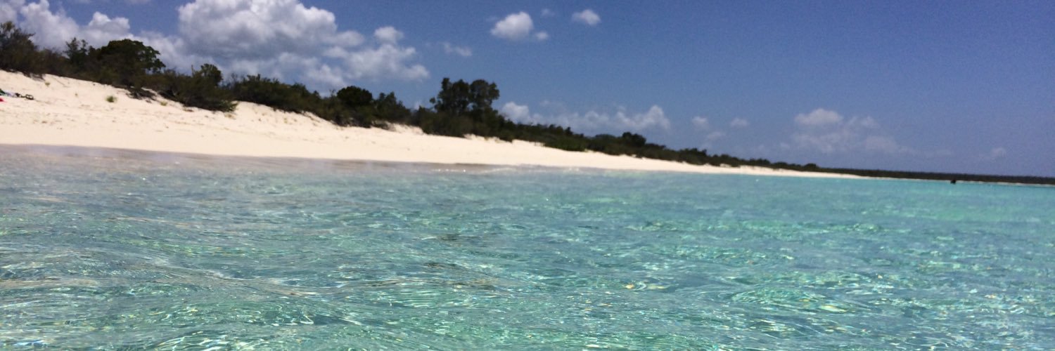 Jesus Gonzales banner