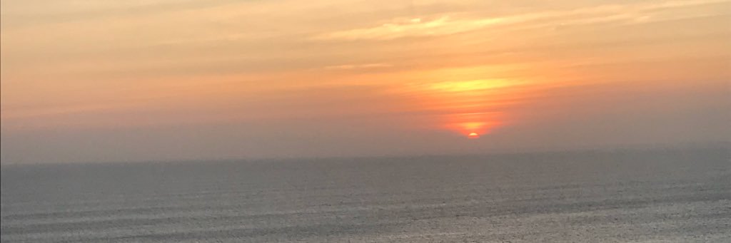 Anusha Kalbasi banner