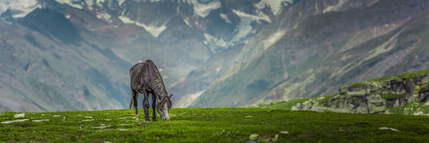 omernashwan's profile banner image