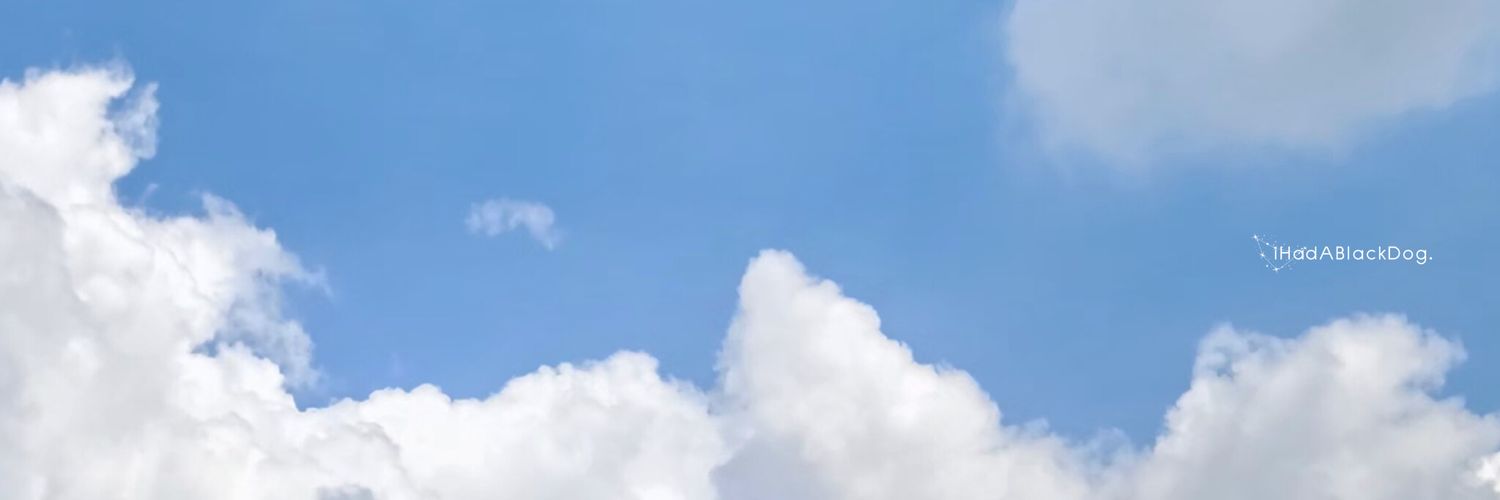 🐋iHadABlackDog. banner