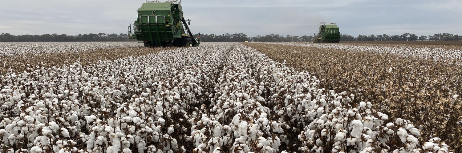 James Kanaley banner