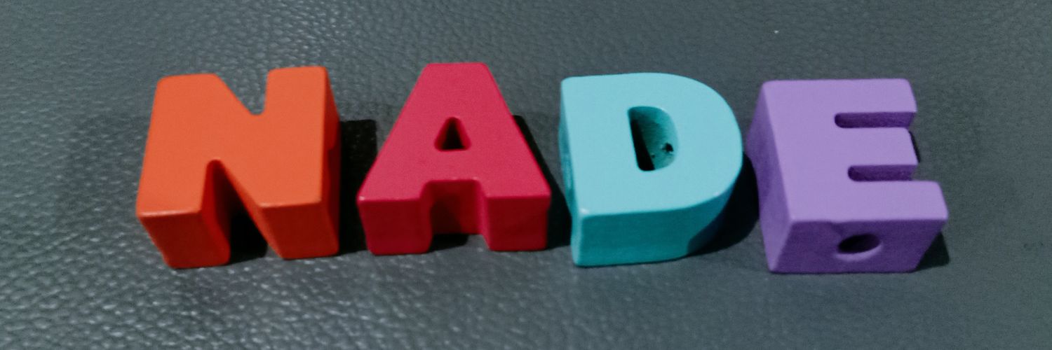 N444DE's profile banner image