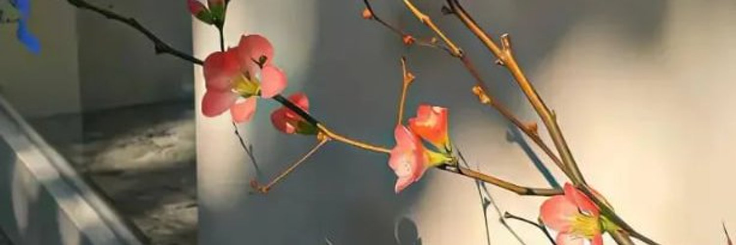 TeaseUp's profile banner image