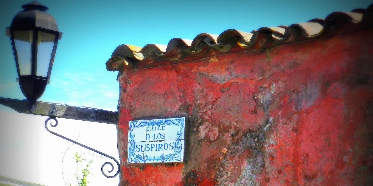 JosefinaO's profile banner image