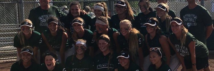 staleysoftball's profile banner image