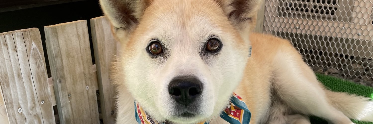 kismyift's profile banner image