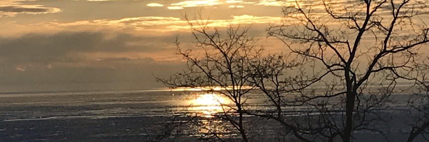 Jacqui EmpsonLaporte banner