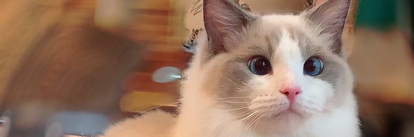 Liiitan's profile banner image