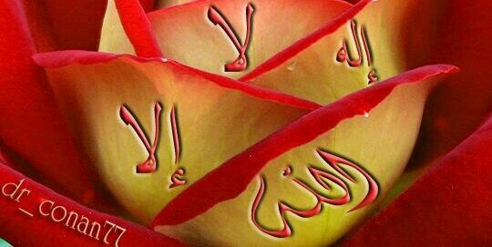 alikhobrani's profile banner image