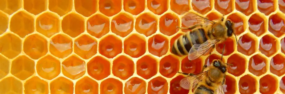 Brit☮️🧚🏾📚 banner