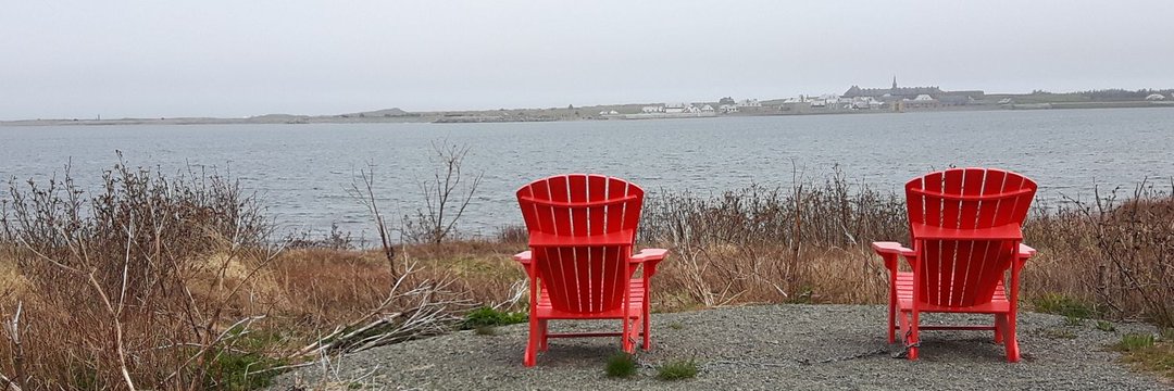 Tim Lewis 🇨🇦🇬🇧🏴󠁧󠁢󠁳󠁣󠁴󠁿🇺🇦🇵🇱 banner