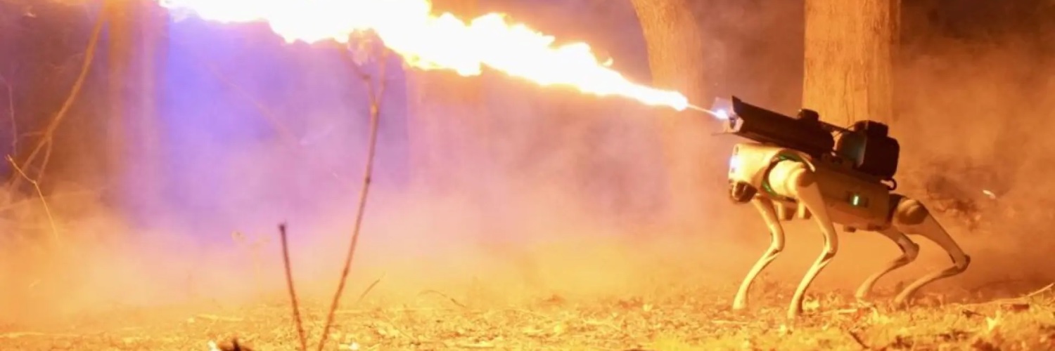 MeteFuego's profile banner image