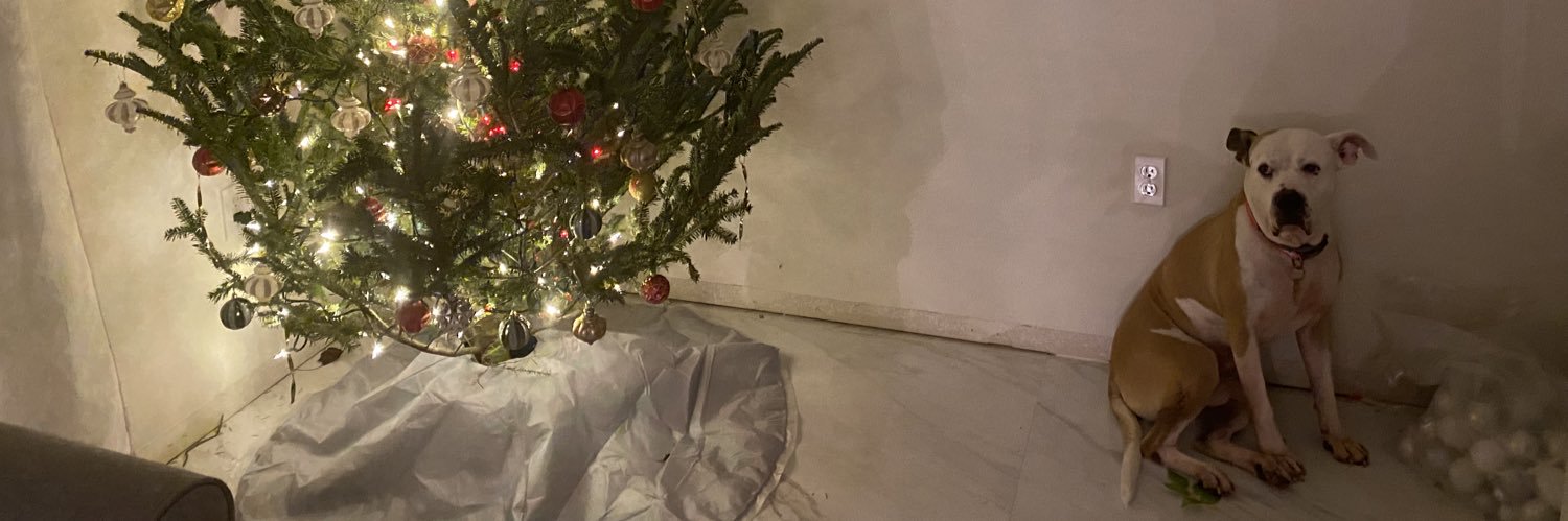 adelasaays's profile banner image