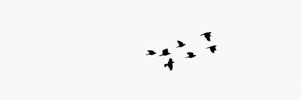 Bo9Do990's profile banner image