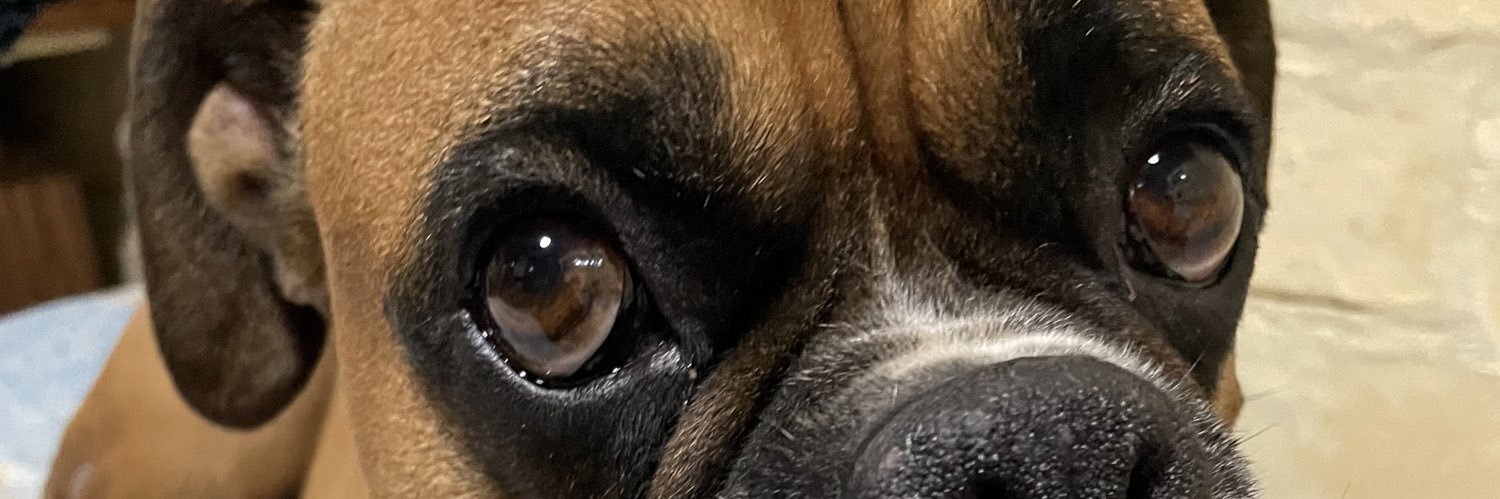 paaau_ch's profile banner image