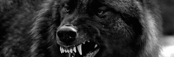 WarrenPeeplesjr Profile Banner