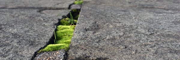 _eWeezie Profile Banner