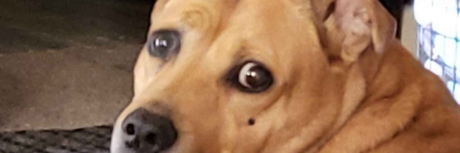 Mary-Ann 🎶In My Life🎶 banner