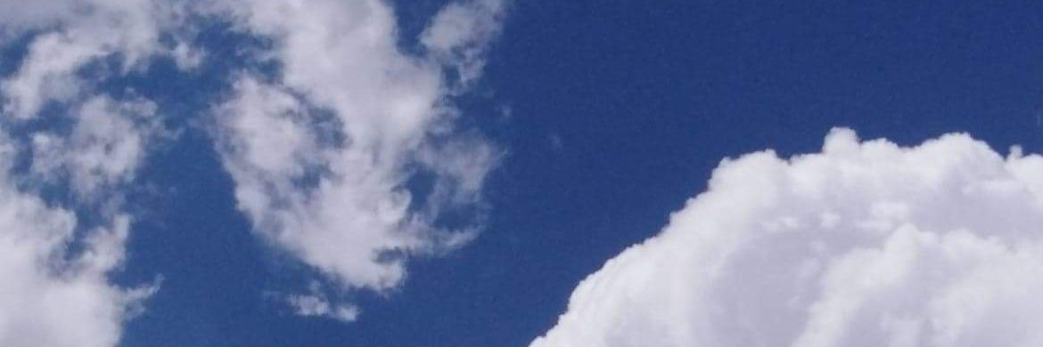 fcavanessa's profile banner image