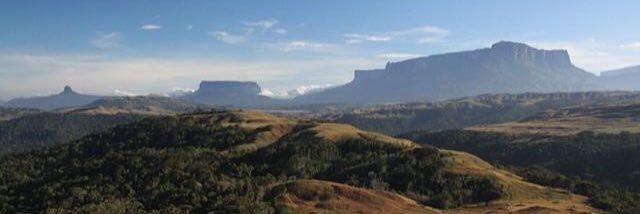 Charlie Don’t Surf banner