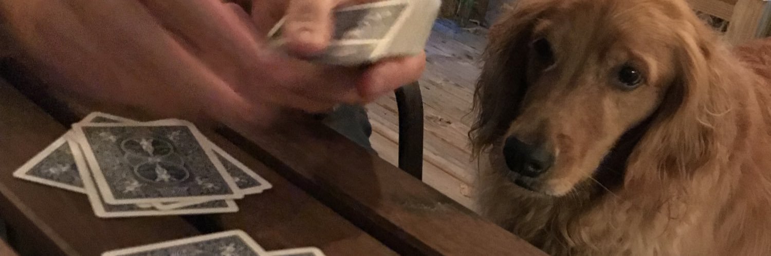 dangerhazzard's profile banner image