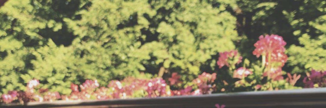 Eng_mod400's profile banner image