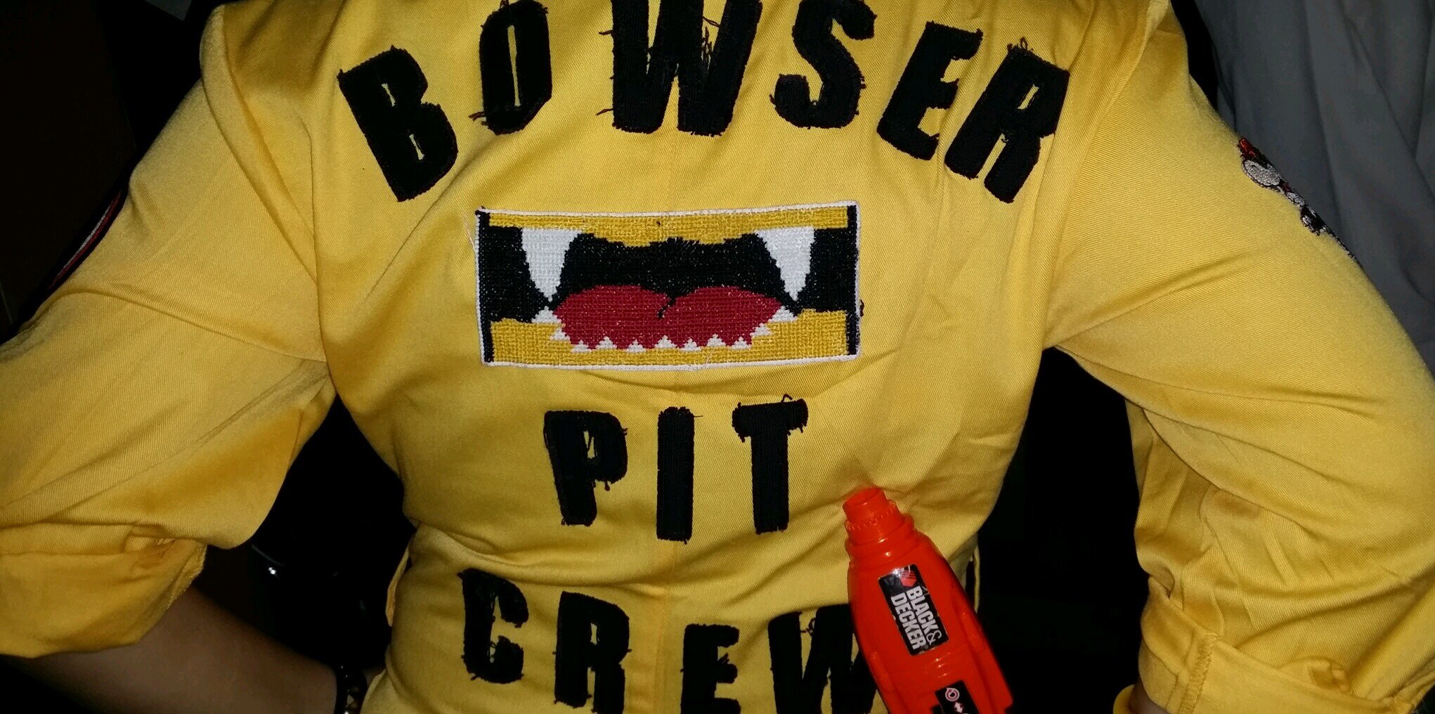 Bowser, King of the Koopa banner