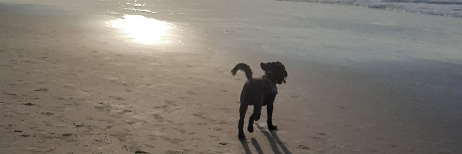 Majocc93's profile banner image
