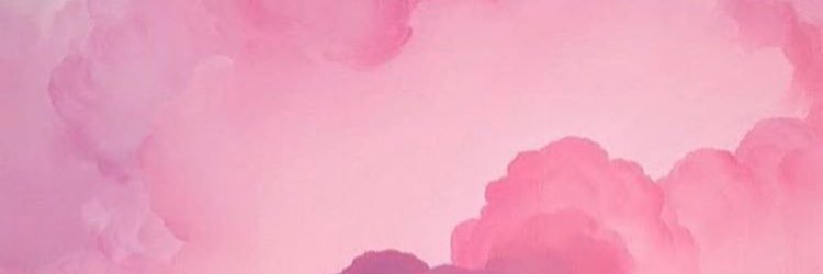 PuglieseLorena's profile banner image