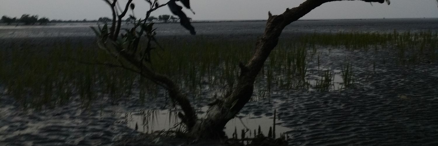 aalapsave's profile banner image