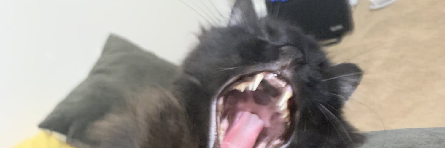 cazzcox's profile banner image