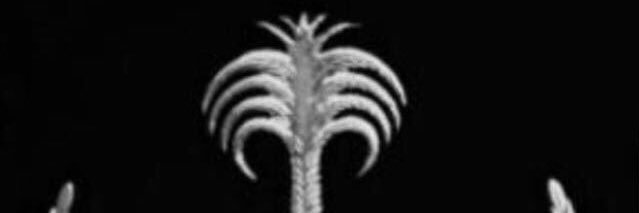 fashll's profile banner image