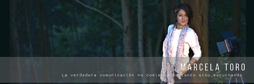 marcelatoro01's profile banner image