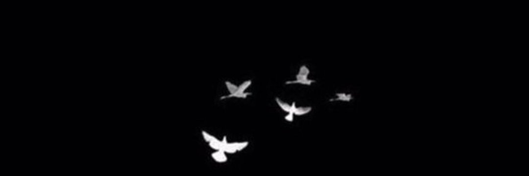 9ailn's profile banner image
