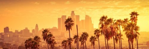 _Wealth_Habits's profile banner image